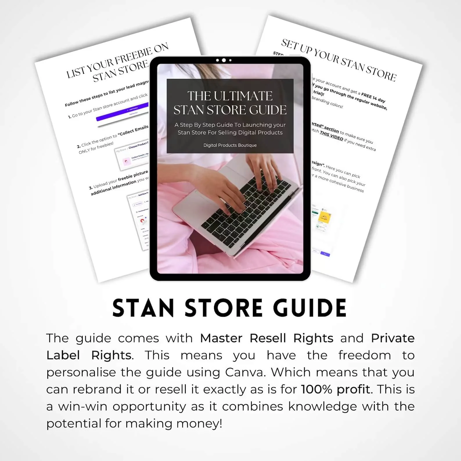 The Ultimate Stan Store Guide with Master Resell Right and Private Label Rights | DFY Digital Marketing Product - Image 3